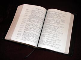 gospel of mark  bible