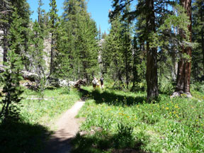 dinkey lakes hike forest