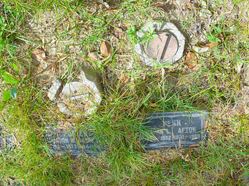 gravestones grass overgrown