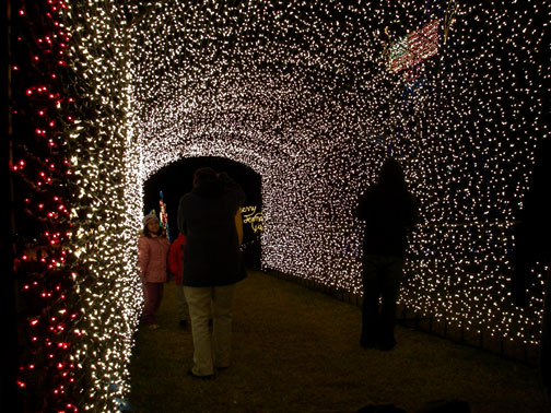 marble-falls-light-tunnel-xmas-christmas