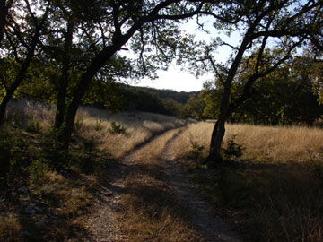 silver-creek-road-laity-lodge