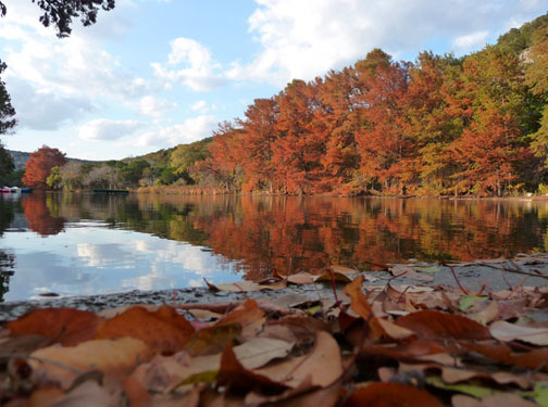 Laity Lodge Cypress Trees Autumn Fall