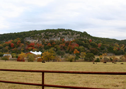 fall autumn texas hill country